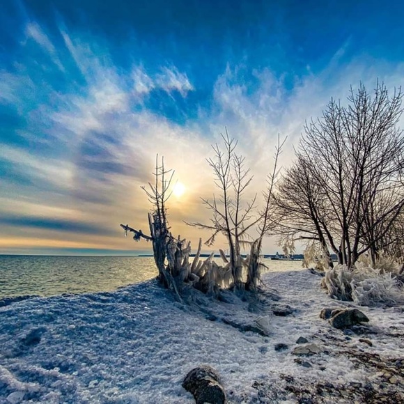 Meet your Posher, Alda - Picture 1 of 1